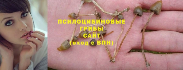 амфетамин Алексеевка