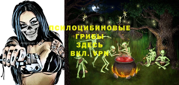 мет Абаза