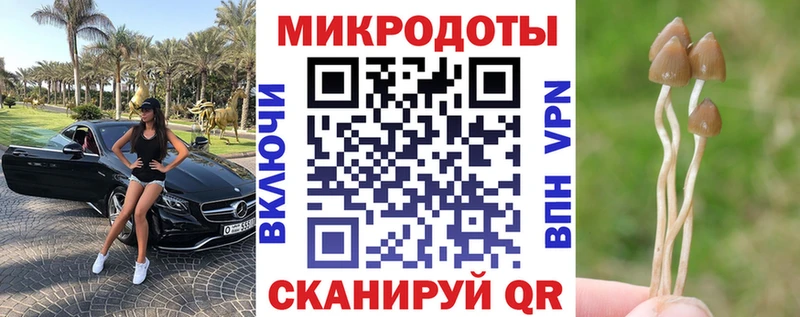Псилоцибиновые грибы Psilocybine cubensis  наркотики  Духовщина 
